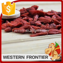 free of pollution high quality thick sweet goji berry